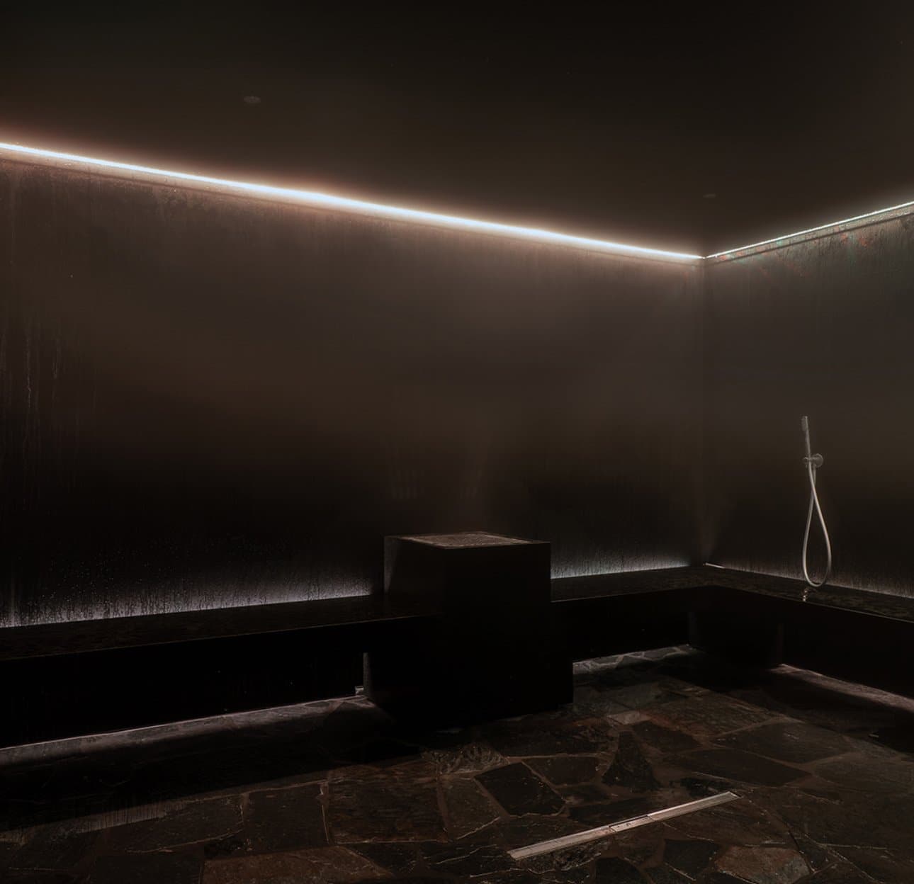 Professional Steam Rooms