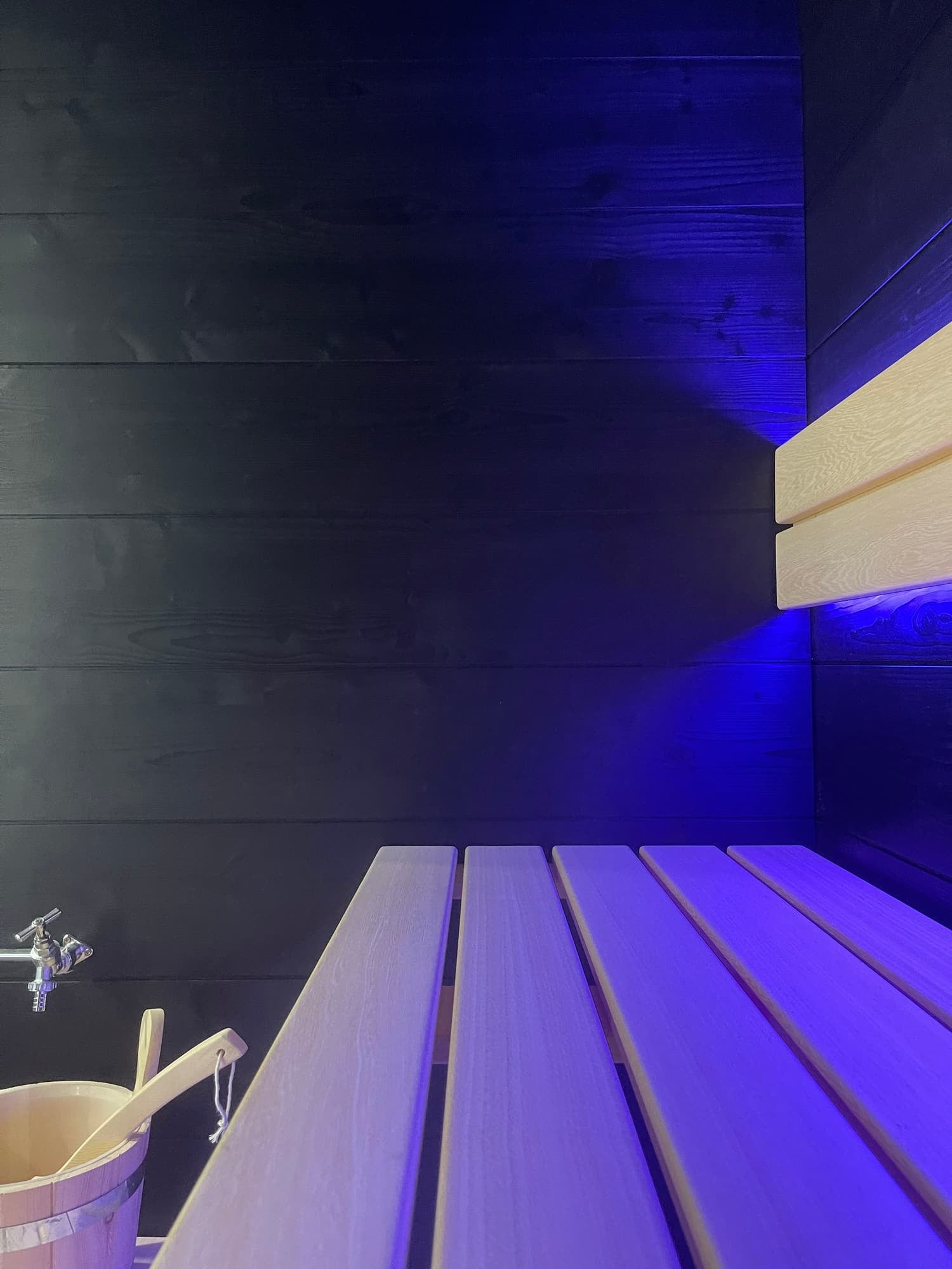 Professional Finnish Saunas, photograph 17 of 21