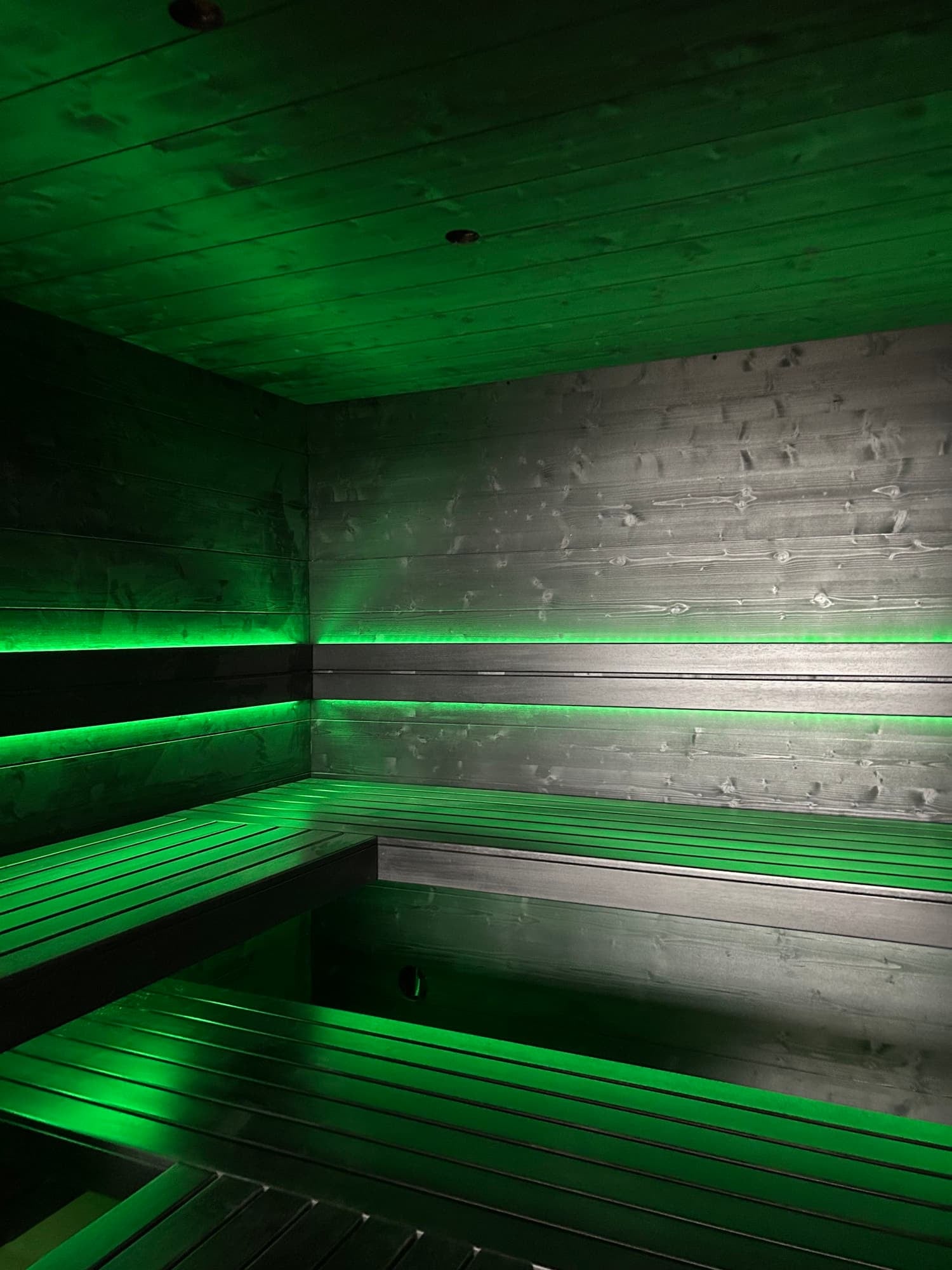 Professional Finnish Saunas, photograph 21 of 21