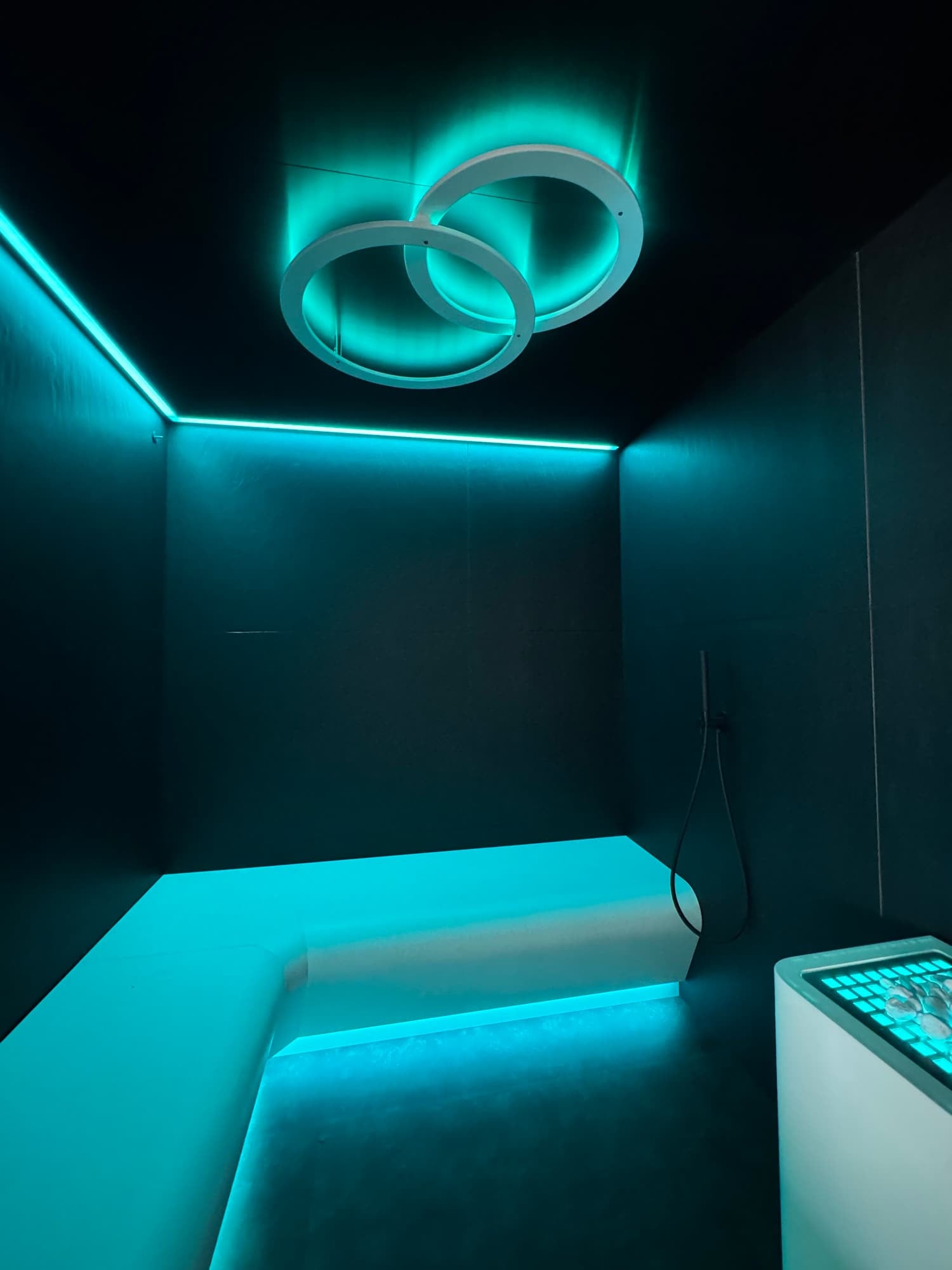 Professional Steam Rooms, photograph 10 of 17