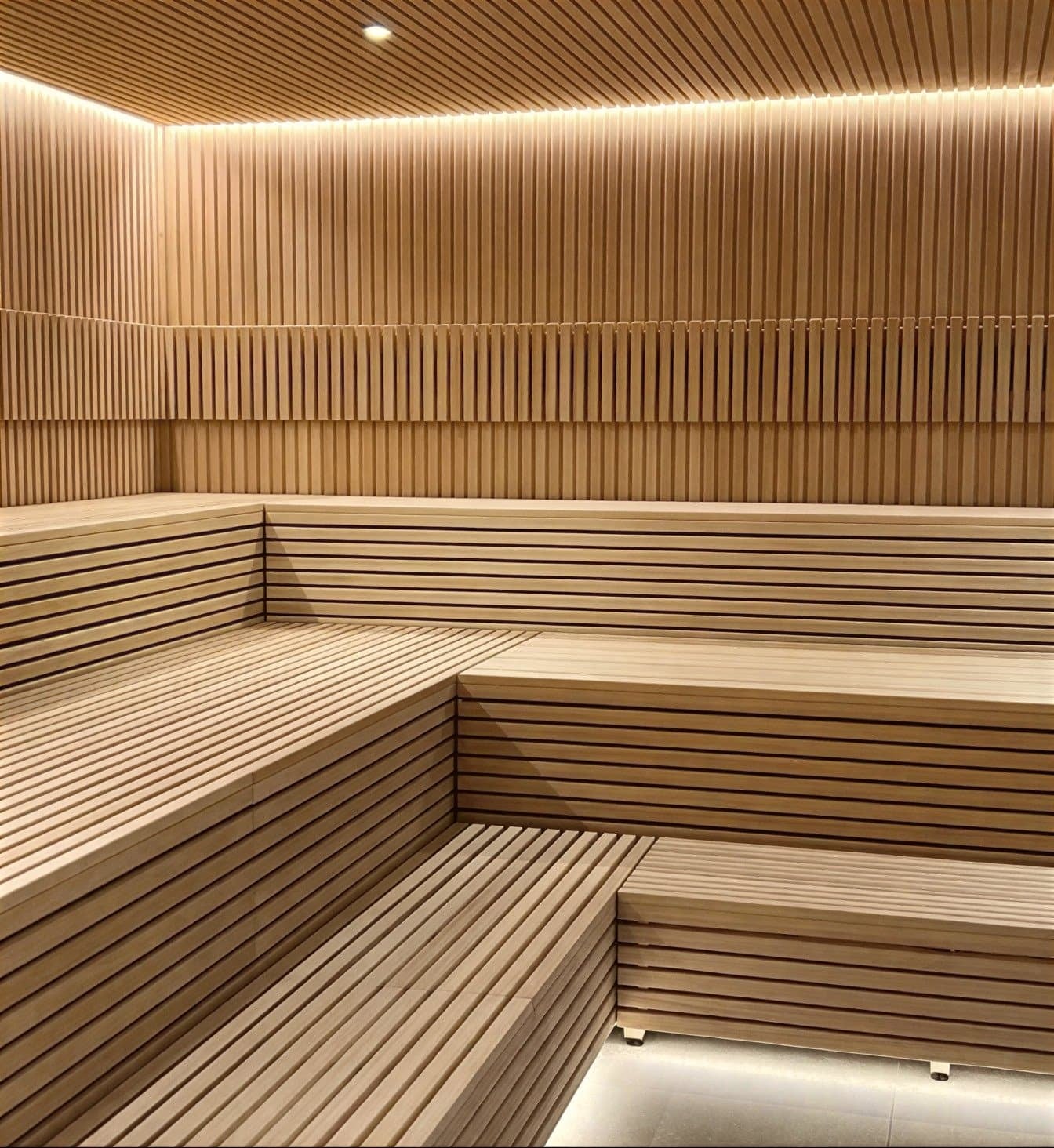 Professional Finnish Saunas, photograph 3 of 21