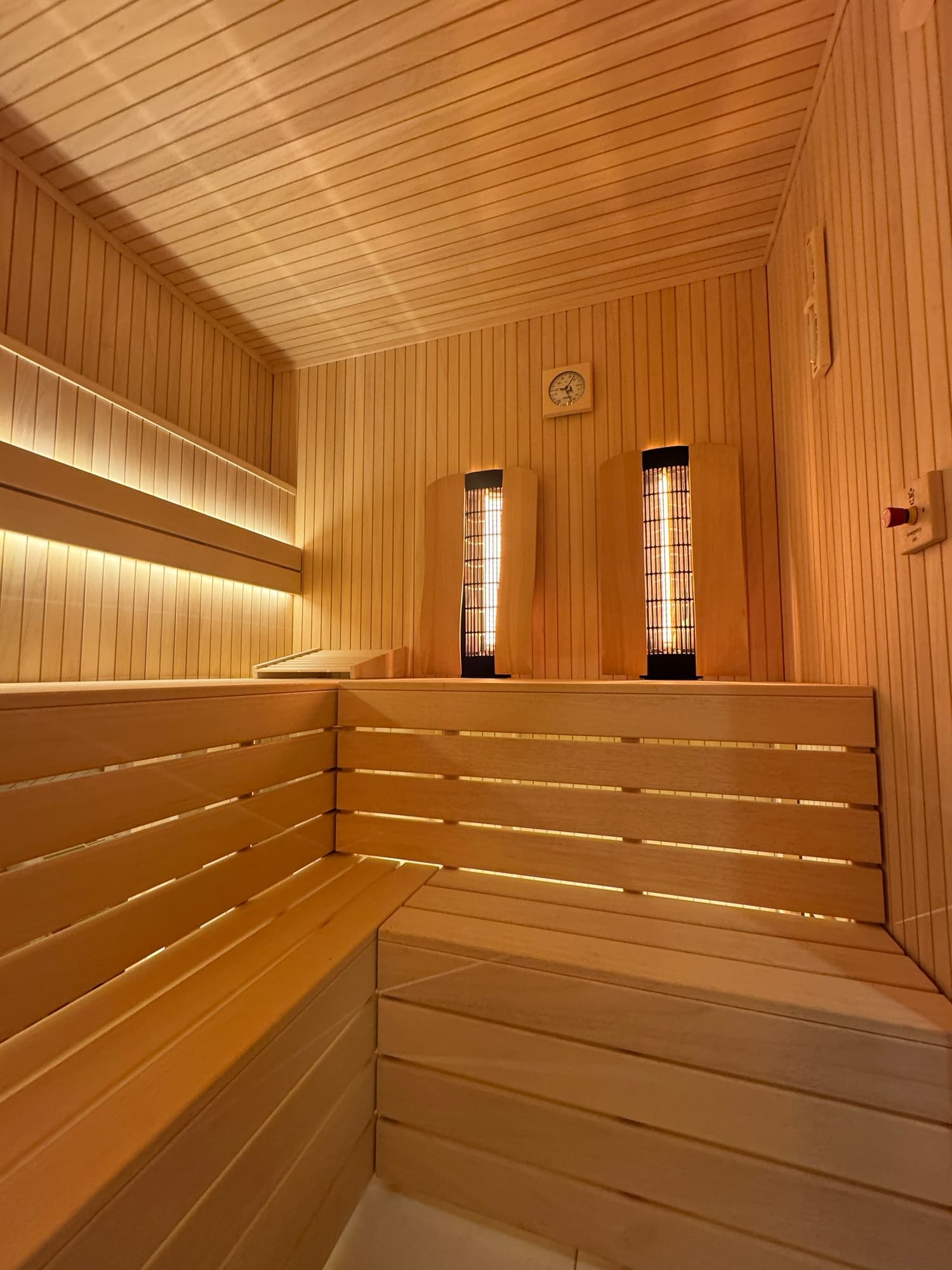 Professional Infrared Saunas